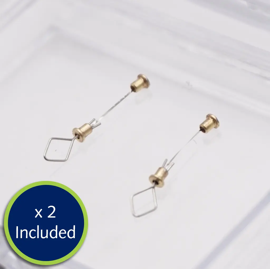 Diamond Loop Pair - catalogue image.webp