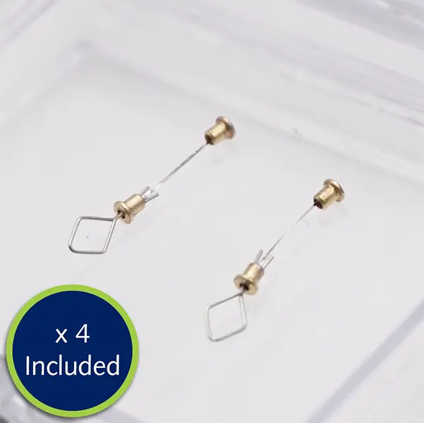 Diamond loops - XL catalogue image.webp